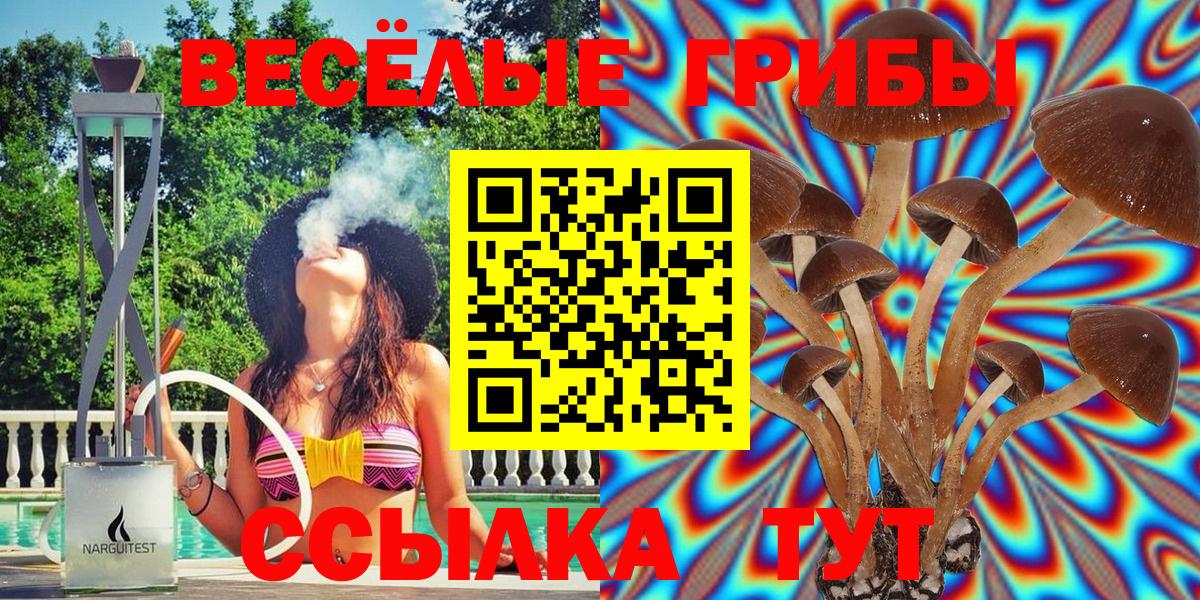 Заринск  Галлюциногенные грибы Cubensis  Вход с VPN 