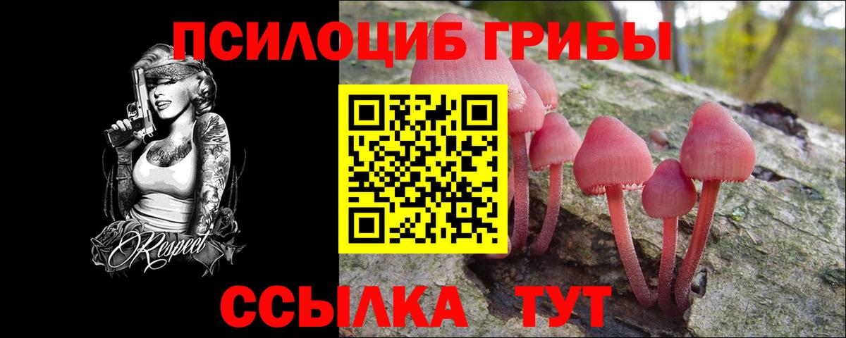 Галлюциногенные грибы Psilocybine cubensis Заринск